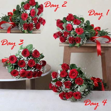 Romantic Red 4 Day Serenade