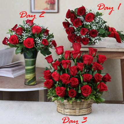 3 Days of Ravishing Roses