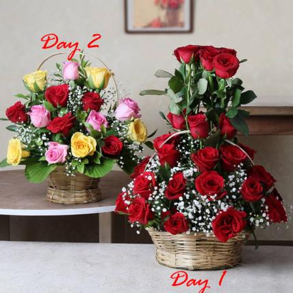 2 Days of Romantic Roses