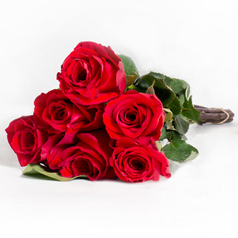 Valentine 6 Roses
