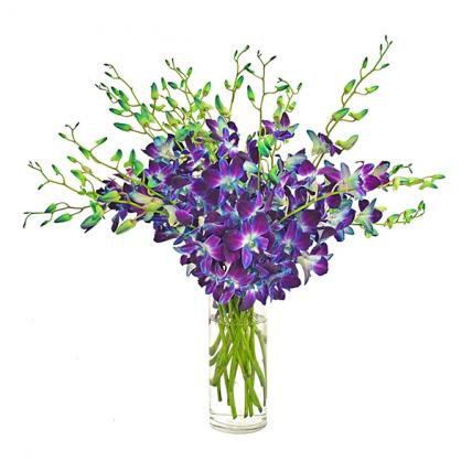 Blue Orchids Vase