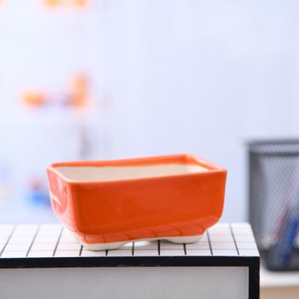 Bonsai Rectangle Ceramic Pot (Orange)