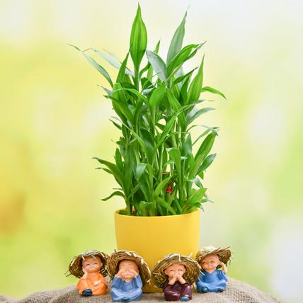  3 Layer Lucky Bamboo and Cute Monks