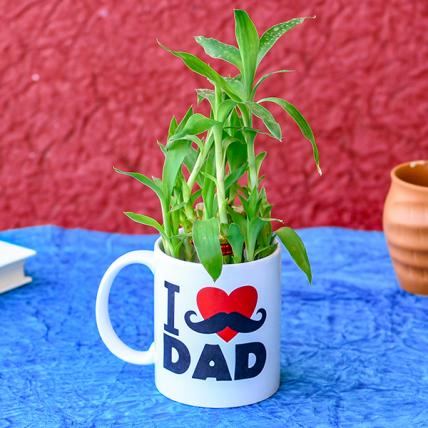 Special 2 Layer Lucky Bamboo in I Love Dad Mug