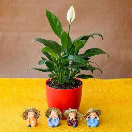 Pleasing Peace Lily with Cute Hay Hat Monks