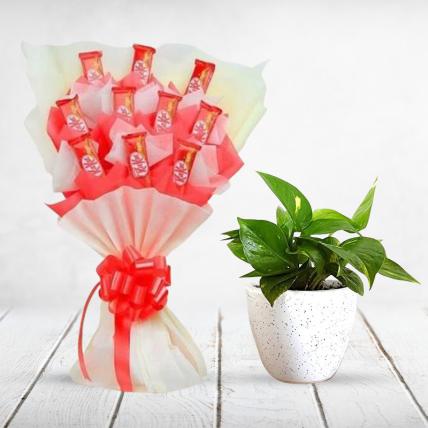 Kit Kat Bouquet and Money Plant