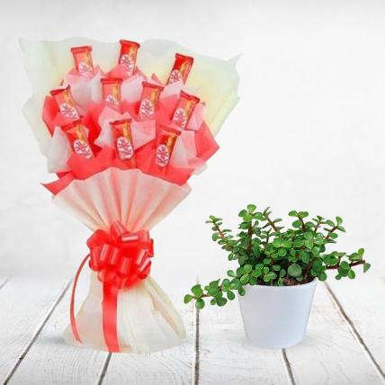 Chocolate Bouquet and Plant