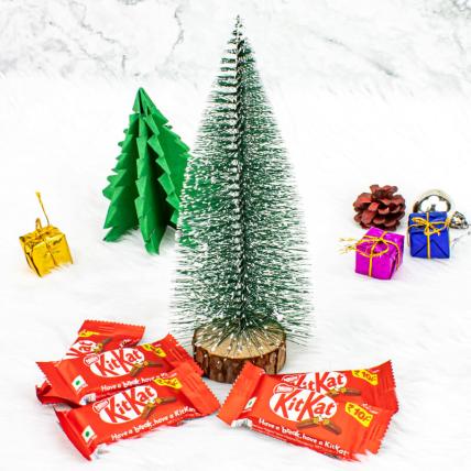 Christmas Tree And Chocolates  Combo