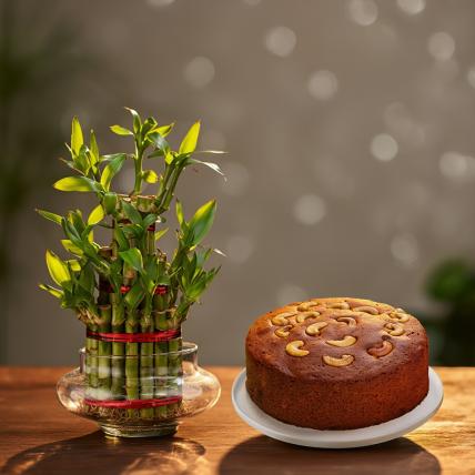 Plum Cake with Bamboo Plant Triple Layer