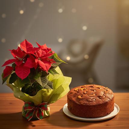 Plum Cake with Poinsettia Plant 