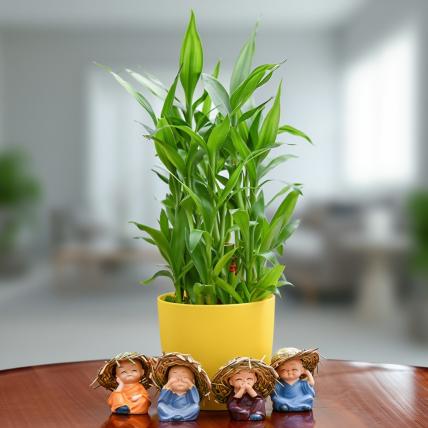  3 Layer Lucky Bamboo and Cute Monks