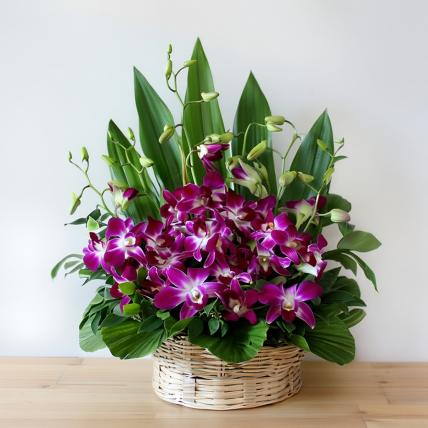 Lovely Orchids Basket